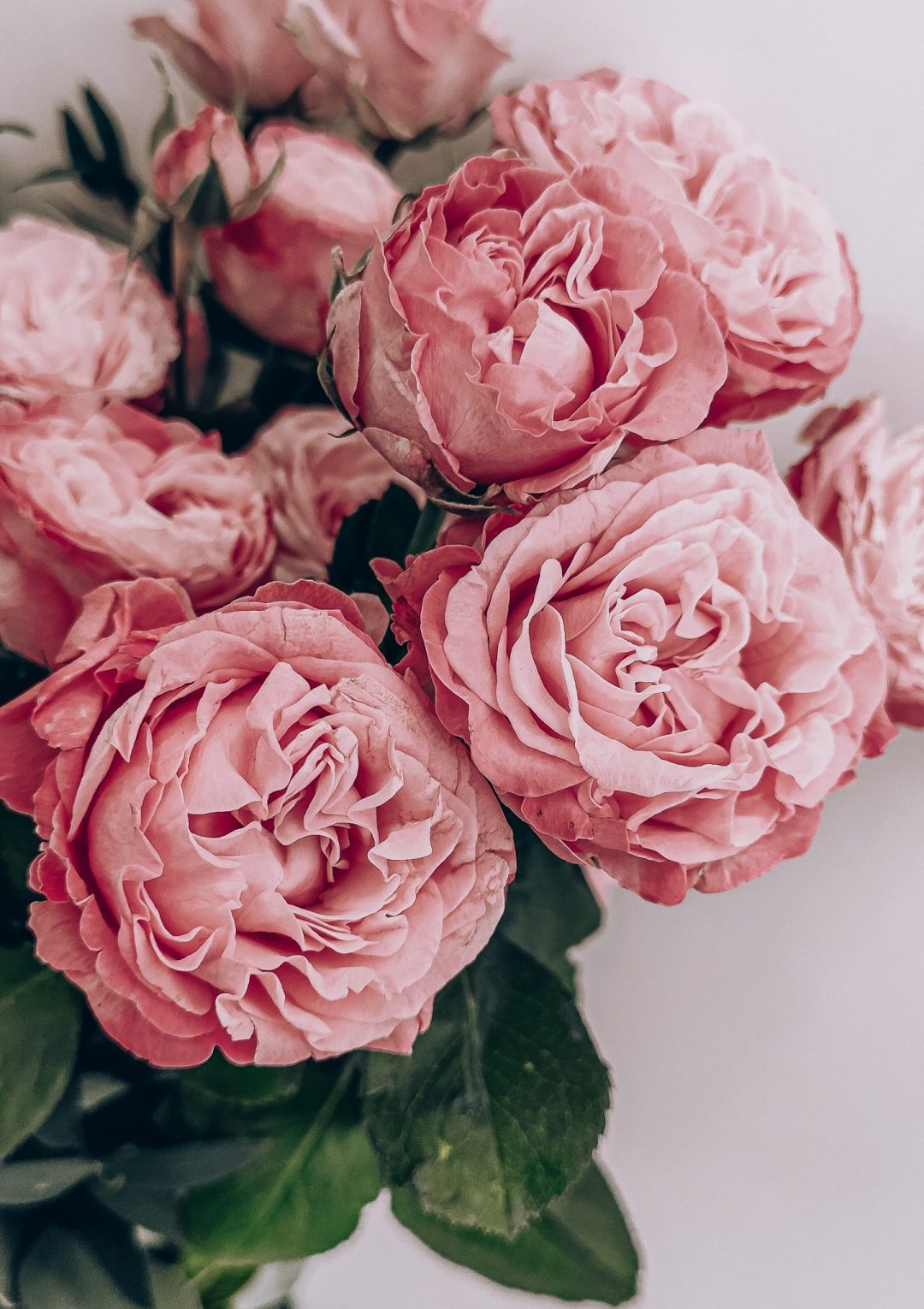 rikonavt-oEWdQsbRVZk-unsplash